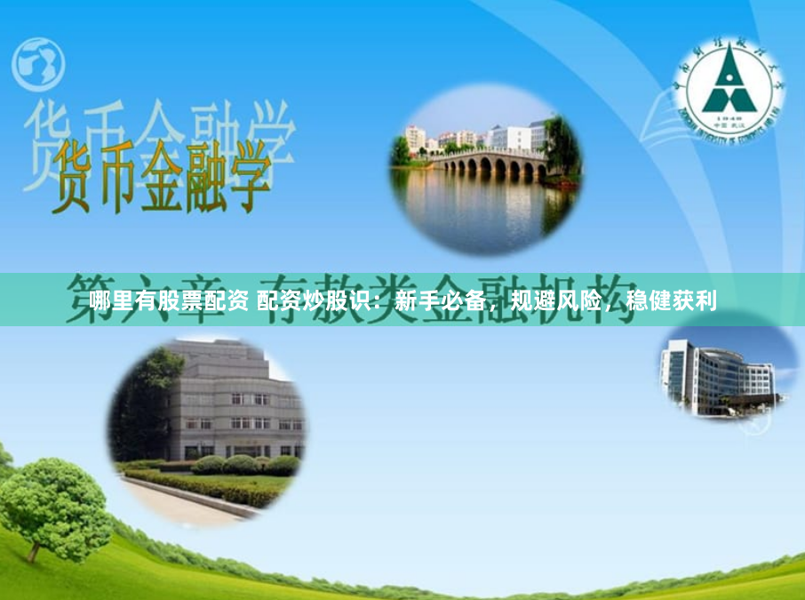 哪里有股票配资 配资炒股识：新手必备，规避风险，稳健获利