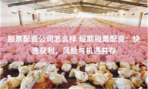 股票配资公司怎么样 短期股票配资：快速获利，风险与机遇并存