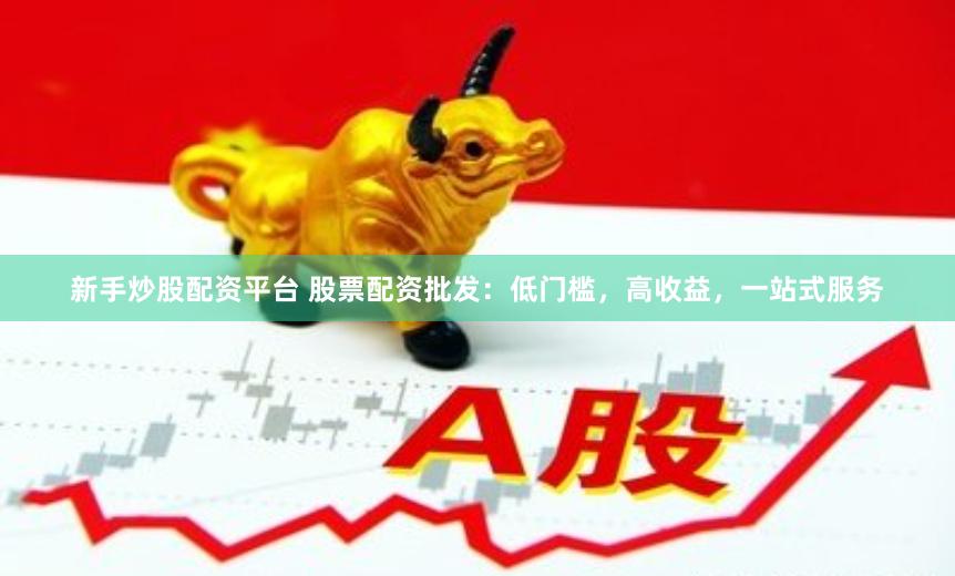 新手炒股配资平台 股票配资批发：低门槛，高收益，一站式服务